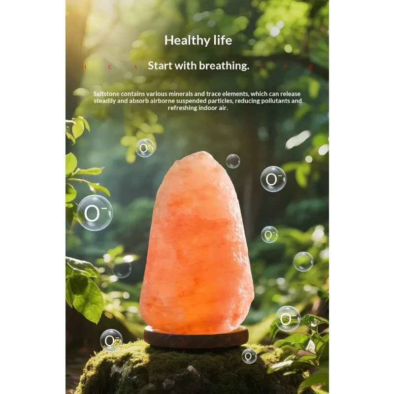Himalayan Salt Lamp — Natural Rock, Carved, Dimmer Switch, Bulb Included, 6 Styles, Multi-Plug