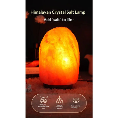 Himalayan Salt Lamp — Natural Rock, Carved, Dimmer Switch, Bulb Included, 6 Styles, Multi-Plug