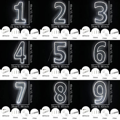 LED Neon Number Sign (0–9) — White, USB-Powered, Acrylic, Wall Decor for Birthdays & Events