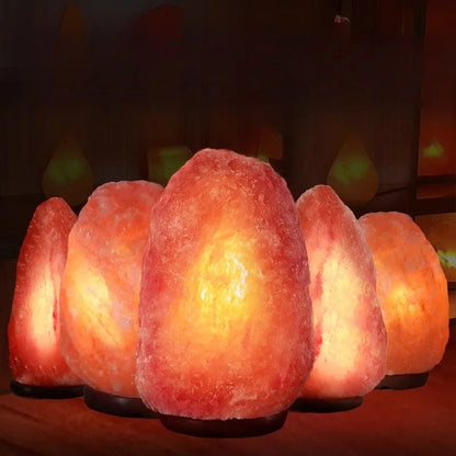 Himalayan Salt Lamp — Natural Rock, Carved, Dimmer Switch, Bulb Included, 6 Styles, Multi-Plug