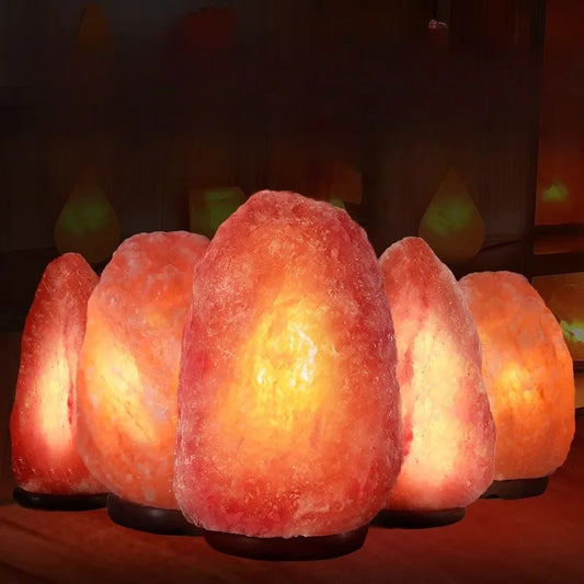 Himalayan Salt Lamp — Natural Rock, Carved, Dimmer Switch, Bulb Included, 6 Styles, Multi-Plug