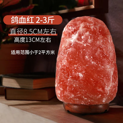 Himalayan Salt Lamp — Natural Rock, Carved, Dimmer Switch, Bulb Included, 6 Styles, Multi-Plug